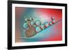 Complementary-Heidi Westum-Framed Photographic Print