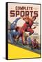 Complete Sports-null-Framed Stretched Canvas