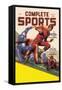 Complete Sports-null-Framed Stretched Canvas
