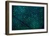 Complex Meditation-Doug Chinnery-Framed Photographic Print