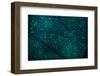 Complex Meditation-Doug Chinnery-Framed Photographic Print