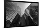 Gramercy Black