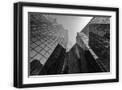 Black Frame