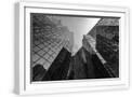 White Frame