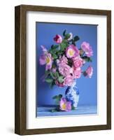 Complicata and Felicia Roses-Clay Perry-Framed Photographic Print