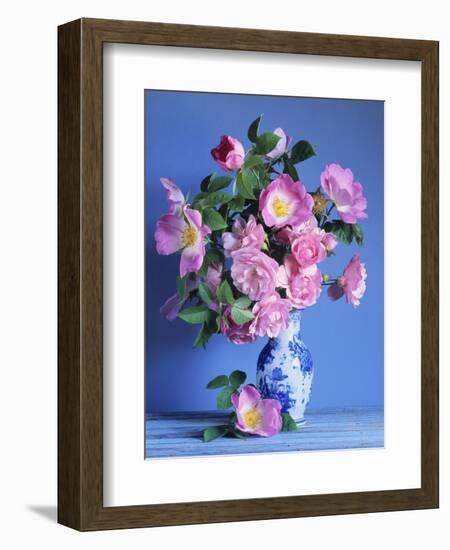 Complicata and Felicia Roses-Clay Perry-Framed Photographic Print