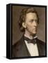 Composer and Pianist Frederic Chopin-null-Framed Stretched Canvas