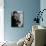 Composer Dmitri Shostakovich Playing Piano-Thomas D^ Mcavoy-Premium Photographic Print displayed on a wall