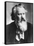 Composer Johannes Brahms in Suit-Wiener Von Aufnahme-Framed Stretched Canvas