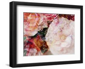 Composing, Blossoms in Bright Rose, Roses Layered with Other Flowers-Alaya Gadeh-Framed Photographic Print