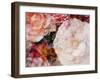 Composing, Blossoms in Bright Rose, Roses Layered with Other Flowers-Alaya Gadeh-Framed Photographic Print