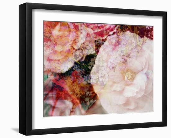 Composing, Blossoms in Bright Rose, Roses Layered with Other Flowers-Alaya Gadeh-Framed Photographic Print