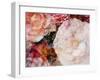 Composing, Blossoms in Bright Rose, Roses Layered with Other Flowers-Alaya Gadeh-Framed Photographic Print