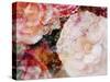 Composing, Blossoms in Bright Rose, Roses Layered with Other Flowers-Alaya Gadeh-Stretched Canvas