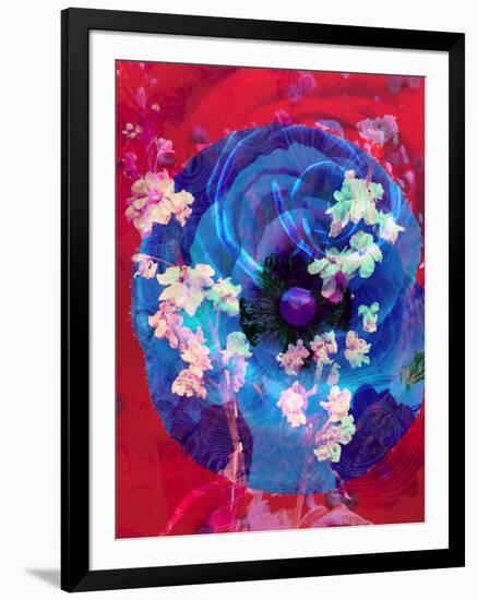 Composing of a Blue Poppy and Rose with Pink Flowering Branches-Alaya Gadeh-Framed Photographic Print