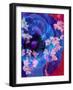 Composing of a Blue Poppy and Rose with Pink Flowering Branches-Alaya Gadeh-Framed Photographic Print