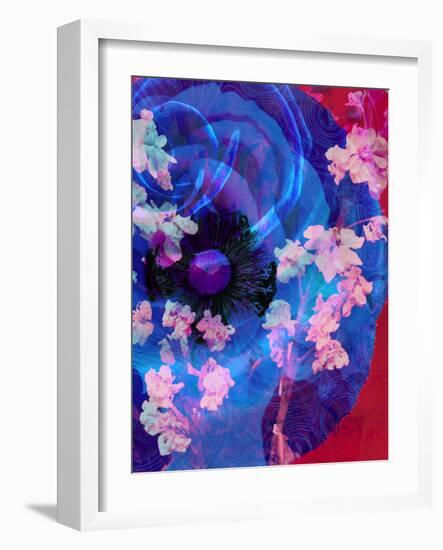 Composing of a Blue Poppy and Rose with Pink Flowering Branches-Alaya Gadeh-Framed Photographic Print