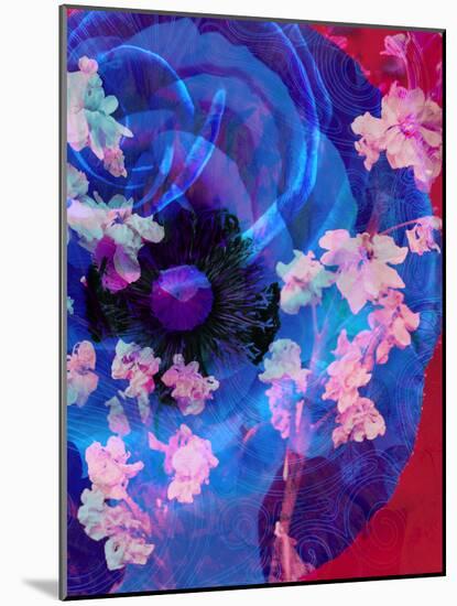Composing of a Blue Poppy and Rose with Pink Flowering Branches-Alaya Gadeh-Mounted Photographic Print