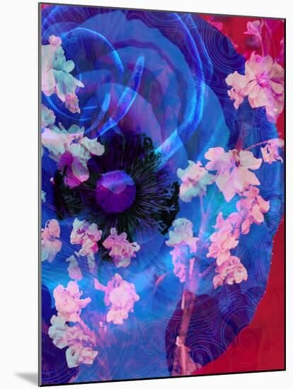 Composing of a Blue Poppy and Rose with Pink Flowering Branches-Alaya Gadeh-Mounted Premium Photographic Print