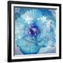 Composing of a Flower in Blue Tones with White Flowering Branch-Alaya Gadeh-Framed Photographic Print