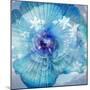 Composing of a Flower in Blue Tones with White Flowering Branch-Alaya Gadeh-Mounted Photographic Print