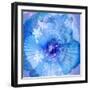 Composing of a Flower in Blue Tones with White Flowering Branch-Alaya Gadeh-Framed Photographic Print