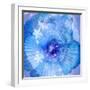 Composing of a Flower in Blue Tones with White Flowering Branch-Alaya Gadeh-Framed Photographic Print