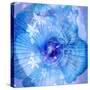 Composing of a Flower in Blue Tones with White Flowering Branch-Alaya Gadeh-Stretched Canvas