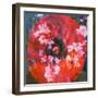 Composing of a Red Poppy and Rose with Pink Flowering Branches-Alaya Gadeh-Framed Photographic Print