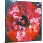 Composing of a Red Poppy and Rose with Pink Flowering Branches-Alaya Gadeh-Mounted Photographic Print