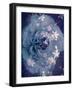 Composing of a Rose in Blue Tones with White Blossoms-Alaya Gadeh-Framed Photographic Print