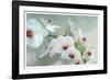 Composing of a White Orchid with Lucent Texture-Alaya Gadeh-Framed Photographic Print