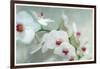 Composing of a White Orchid with Lucent Texture-Alaya Gadeh-Framed Photographic Print