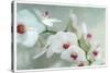 Composing of a White Orchid with Lucent Texture-Alaya Gadeh-Stretched Canvas