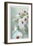 Composing of a White Orchid with Lucent Texture-Alaya Gadeh-Framed Photographic Print
