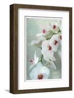 Composing of a White Orchid with Lucent Texture-Alaya Gadeh-Framed Photographic Print