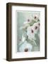 Composing of a White Orchid with Lucent Texture-Alaya Gadeh-Framed Photographic Print