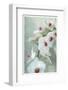 Composing of a White Orchid with Lucent Texture-Alaya Gadeh-Framed Photographic Print