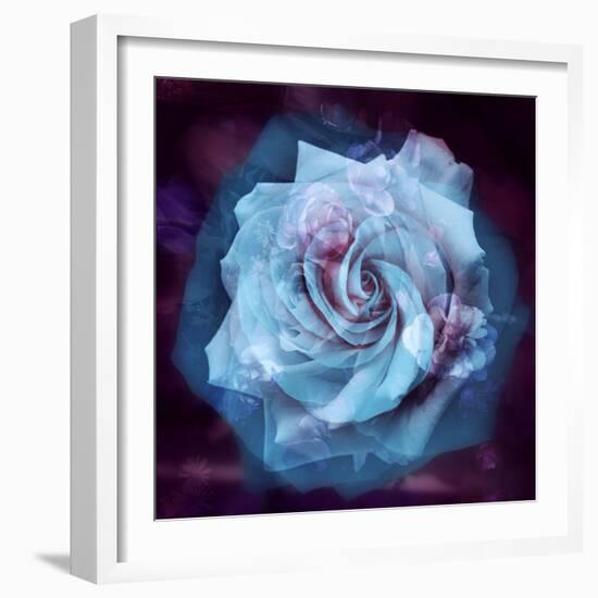 Composing of a White Rose Layered with Blue Tones and Blossoms-Alaya Gadeh-Framed Photographic Print