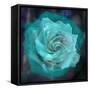 Composing of a White Rose Layered with Emerald and Blossoms-Alaya Gadeh-Framed Stretched Canvas