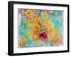 Composing of Blossoms and Slices of Orange, Abstract-Alaya Gadeh-Framed Photographic Print