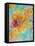 Composing of Blossoms and Slices of Orange, Abstract-Alaya Gadeh-Framed Stretched Canvas