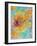 Composing of Blossoms and Slices of Orange, Abstract-Alaya Gadeh-Framed Photographic Print