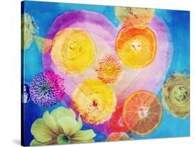 Composing of Blossoms and Slices of Orange Infront of Painted Heart-Alaya Gadeh-Stretched Canvas