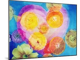 Composing of Blossoms and Slices of Orange Infront of Painted Heart-Alaya Gadeh-Mounted Photographic Print