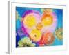 Composing of Blossoms and Slices of Orange Infront of Painted Heart-Alaya Gadeh-Framed Photographic Print