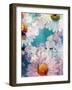 Composing of Blossoms and Water-Alaya Gadeh-Framed Photographic Print