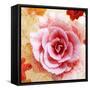 Composing of Blossoms with Floral Pattern-Alaya Gadeh-Framed Stretched Canvas