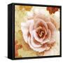 Composing of Blossoms with Floral Pattern-Alaya Gadeh-Framed Stretched Canvas