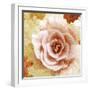 Composing of Blossoms with Floral Pattern-Alaya Gadeh-Framed Photographic Print
